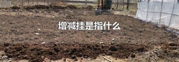 增减挂是指什么