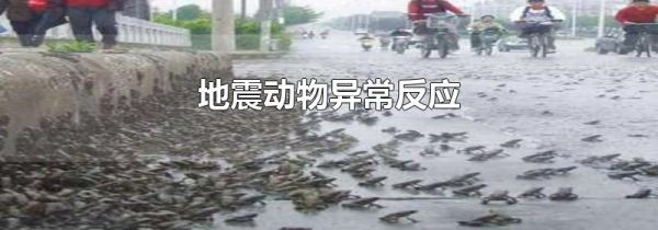 地震动物异常反应