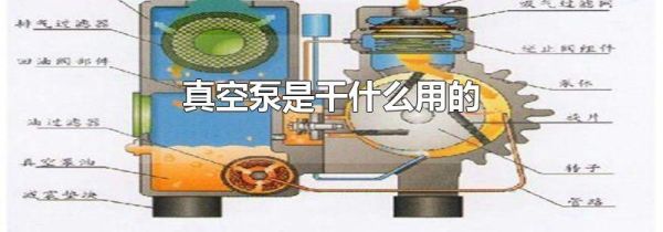 真空泵是干什么用的