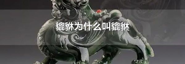 貔貅为什么叫貔貅