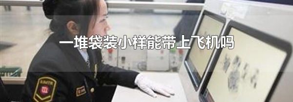 一堆袋装小样能带上飞机吗