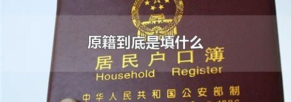原籍到底是填什么