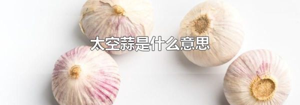 太空蒜是什么意思