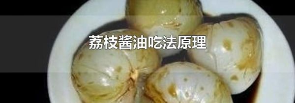 荔枝酱油吃法原理