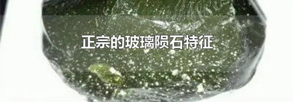 正宗的玻璃陨石特征