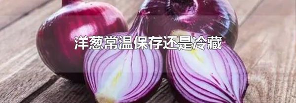 洋葱常温保存还是冷藏