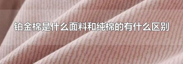 铂金棉是什么面料和纯棉的有什么区别