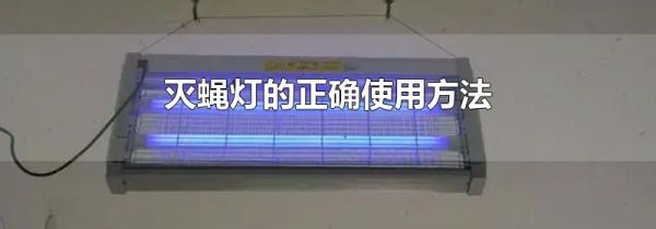 灭蝇灯的正确使用方法