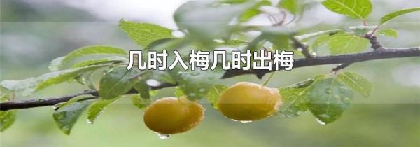 几时入梅几时出梅