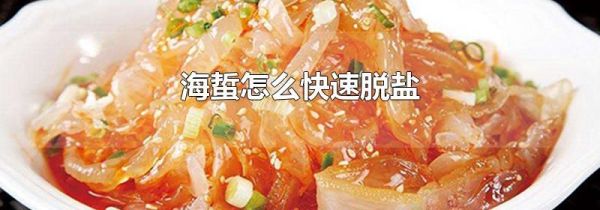 海蜇怎么快速脱盐