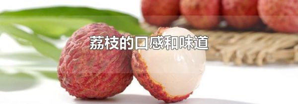荔枝的口感和味道