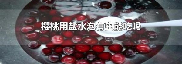 樱桃用盐水泡有虫能吃吗