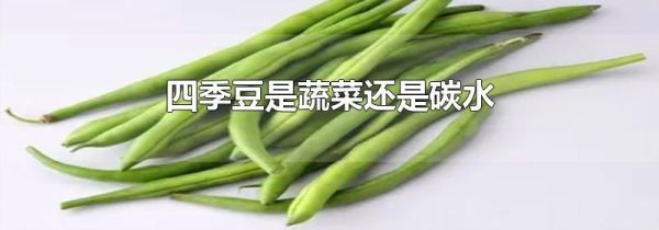 四季豆是蔬菜还是碳水