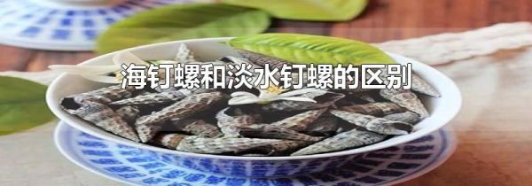 海钉螺和淡水钉螺的区别