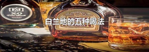 白兰地的五种喝法