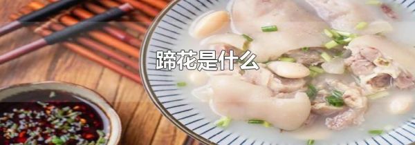蹄花是什么