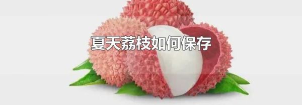 夏天荔枝如何保存
