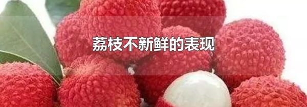 荔枝不新鲜的表现