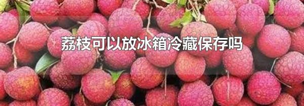荔枝可以放冰箱冷藏保存吗