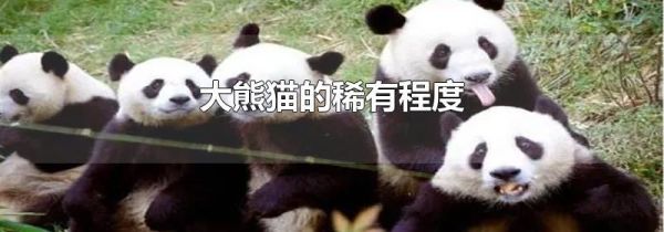 大熊猫的稀有程度