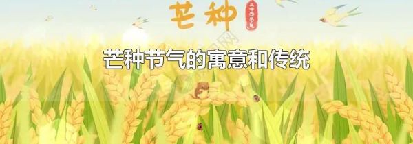 芒种节气的寓意和传统