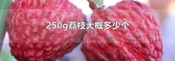250g荔枝大概多少个