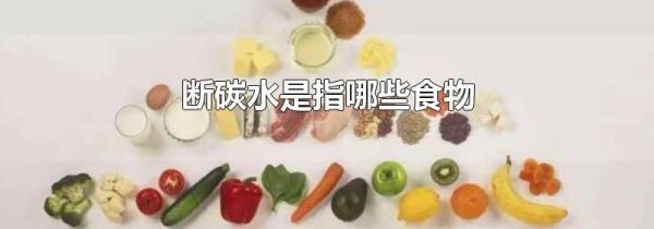 断碳水是指哪些食物
