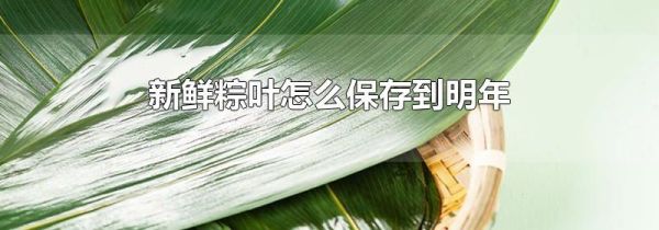 新鲜粽叶怎么保存到明年