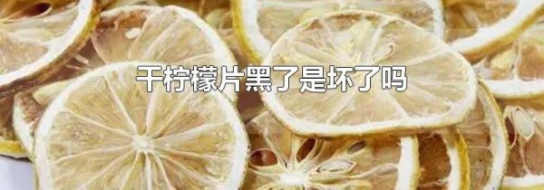 干柠檬片黑了是坏了吗