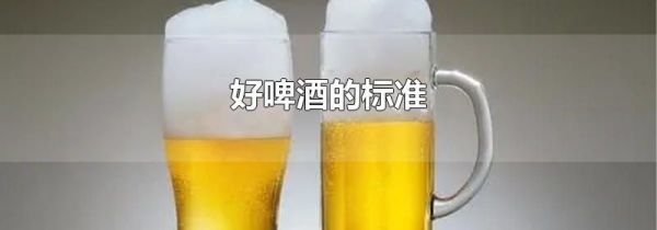 好啤酒的标准