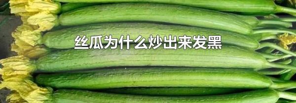 丝瓜为什么炒出来发黑