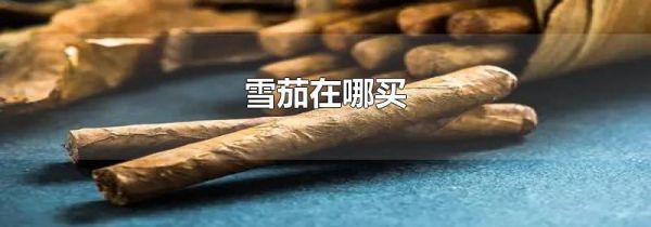 雪茄在哪买