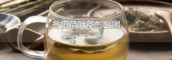 冬瓜荷叶茶怎么喝