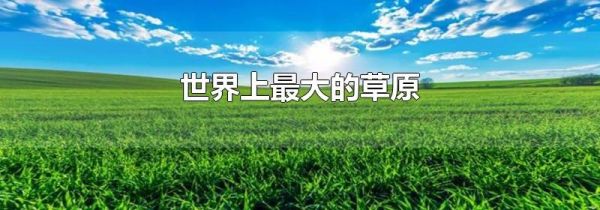 世界上最大的草原