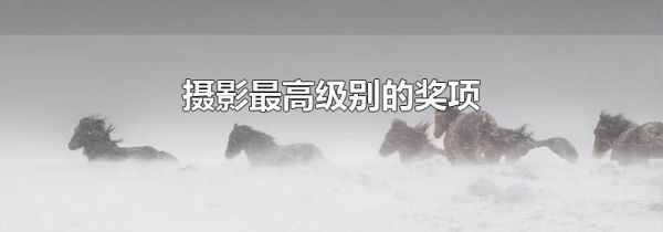 摄影最高级别的奖项