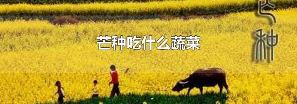 芒种吃什么蔬菜