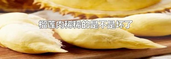 榴莲肉稀稀的是不是坏了
