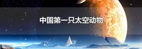 中国第一只太空动物