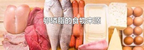 卵磷脂的食物来源