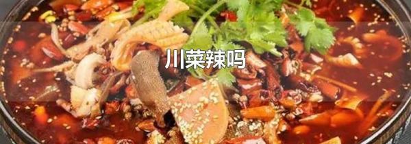 川菜辣吗
