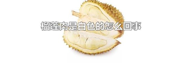 榴莲肉是白色的怎么回事