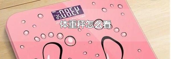体重秤怎么看