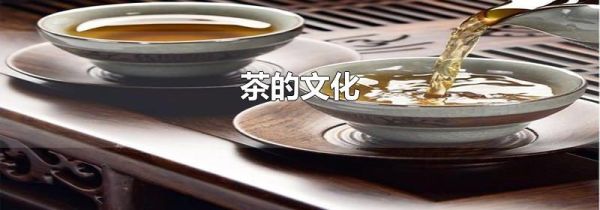 茶的文化