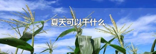 夏天可以干什么