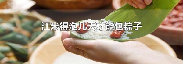 江米得泡几天才能包粽子
