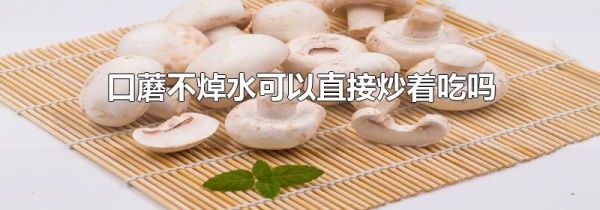 口蘑不焯水可以直接炒着吃吗