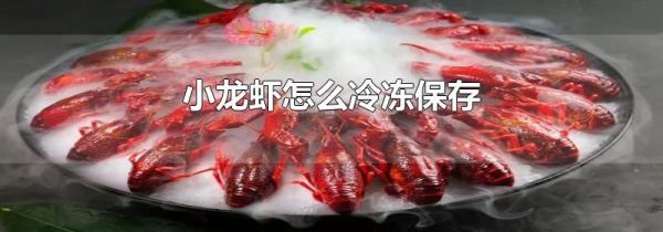 小龙虾怎么冷冻保存