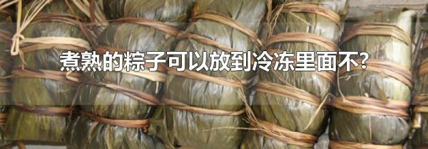 煮熟的粽子可以放到冷冻里面不?