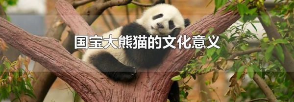 国宝大熊猫的文化意义