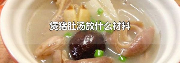 煲猪肚汤放什么材料